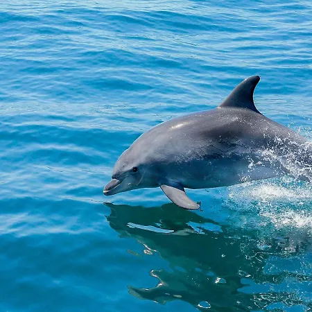 Cozy Townhouse Rafaella2 Near Sao Rafael Сasa de vacaciones