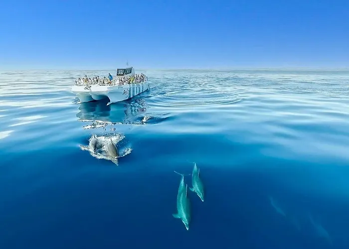 Cozy Townhouse Rafaella2 Near Sao Rafael Holiday home Albufeira