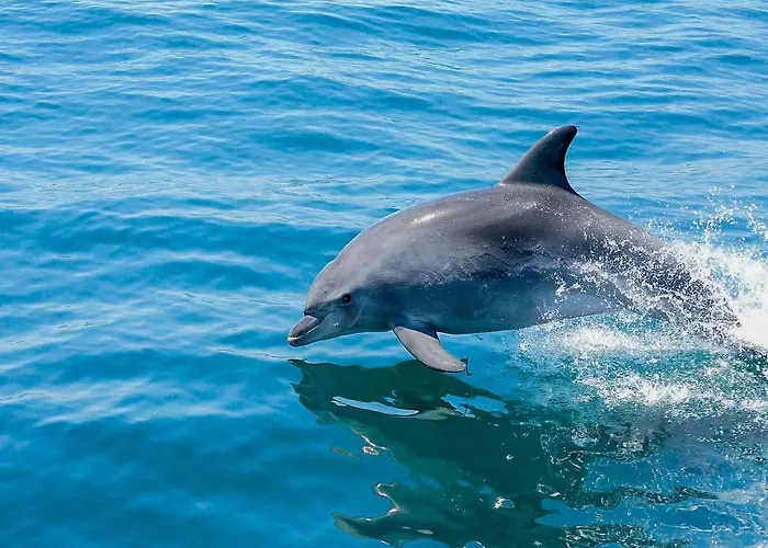 Cozy Townhouse Rafaella2 Near Sao Rafael 別荘